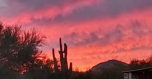 Image post by @foxweather on Instagram