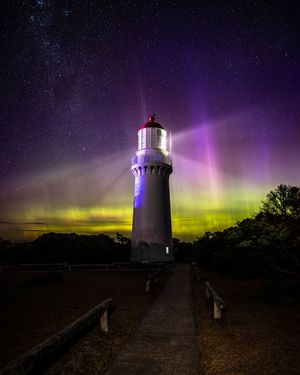 Image post by @visitmelbourne on Instagram