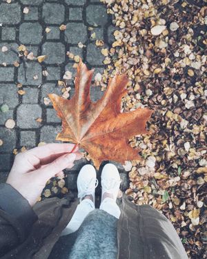 Image post by @kate.simple.life on Instagram