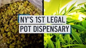 Video post by @nbcnewyork on YouTube