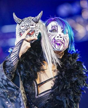 Image post by @thewrestlingclassic on Instagram