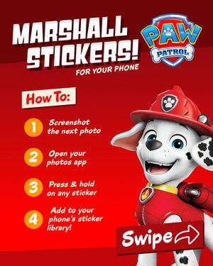 Image post by @pawpatrol on Instagram