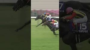 Video post by @worldhorseracing on YouTube