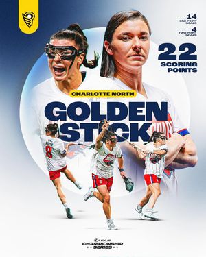 Image post by @wll on Instagram