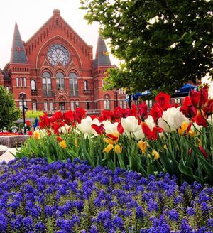 Image post by @uofcincy on Instagram