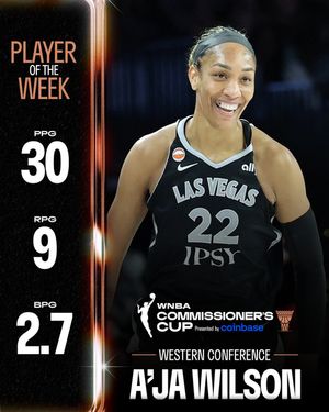 Image post by @wnba on Instagram