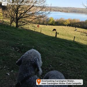 Image post by @candmclub on Instagram