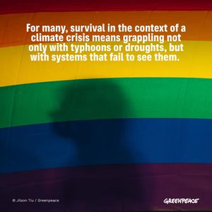 Image post by @greenpeace on Instagram