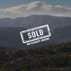 Image post by @rewild on Instagram