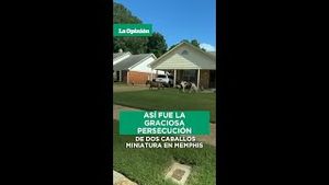 Video post by @laopinionla on YouTube