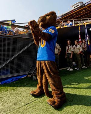 Image post by @rocthepanther on Instagram