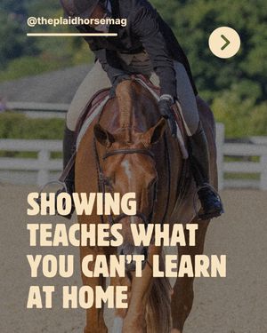 Image post by @theplaidhorsemag on Instagram
