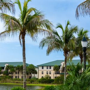 Image post by @fgcu on Instagram