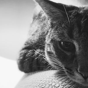 Image post by @jasenvinlove on Instagram