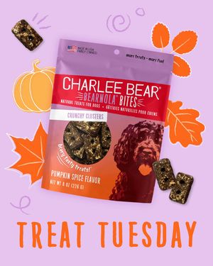 Image post by @charlee_bear_dogtreats on Instagram