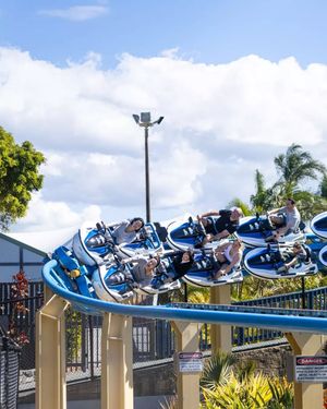 Image post by @seaworldaus on Instagram