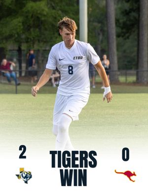 Image post by @goetbutigers on Instagram