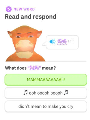 Image post by @duolingo on TikTok