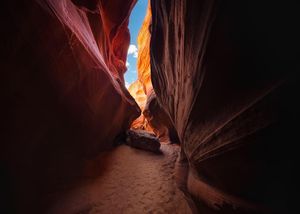 Image post by @canonusa on Instagram