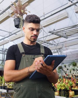Image post by @surface on Instagram
