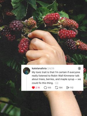 Image post by @commonsearth on Instagram