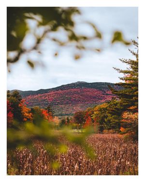 Image post by @alexjlucier on Instagram
