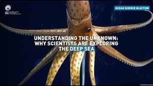 Video post by @unesco on YouTube