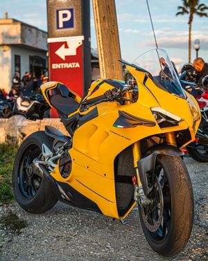 Image post by @panigalers on Instagram