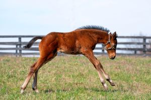 Image post by @coolmoreamerica on Instagram