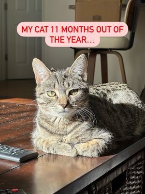 Image post by @petsmart on Instagram