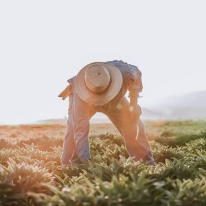 Image post by @amway on Instagram