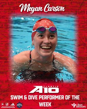 Image post by @spiderswimdive on Instagram