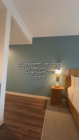 Video post by @ElementMinneapolisDowntown on Facebook