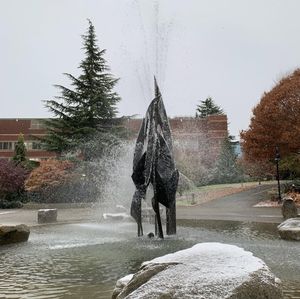 Image post by @seattleu on Instagram