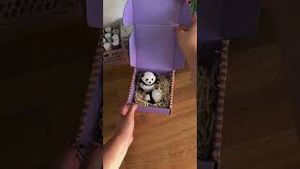 Video post by @etsy on YouTube