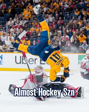 Image post by @predsnhl on Instagram