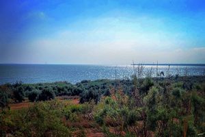 Image post by @faragelo22 on Instagram