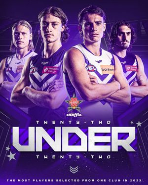 Image post by @freodockers on Instagram