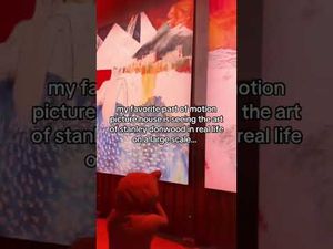 Video post by @disappearedcompletelyx on YouTube