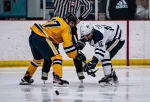 Image post by @finucanescamera on Instagram