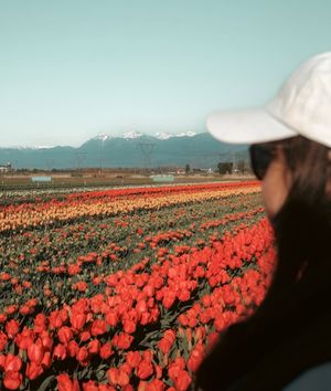 Image post by @tourismabbotsford on Instagram