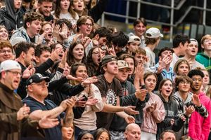 Image post by @gobonnies on Instagram