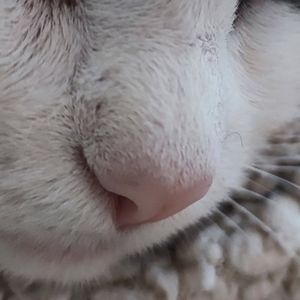 Image post by @manugallocchio on Instagram