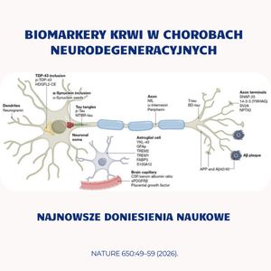 Image post by @neurochirurg_litak on Instagram