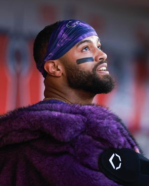 Image post by @rockies on Instagram