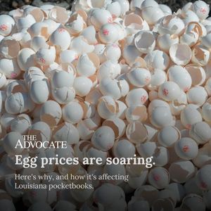 Image post by @theadvocatebr on Instagram