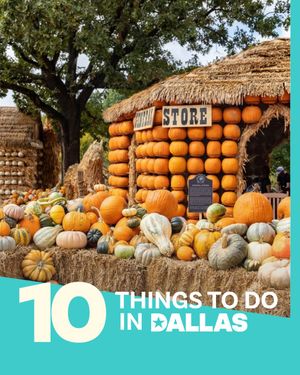 Image post by @visit_dallas on Instagram