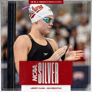 Image post by @indianaswimdive on Instagram