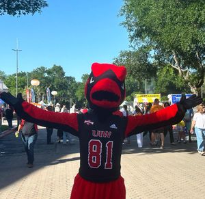 Image post by @uiwcardinals on Instagram