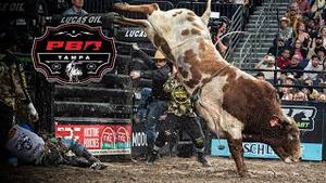Video post by @pbr on YouTube